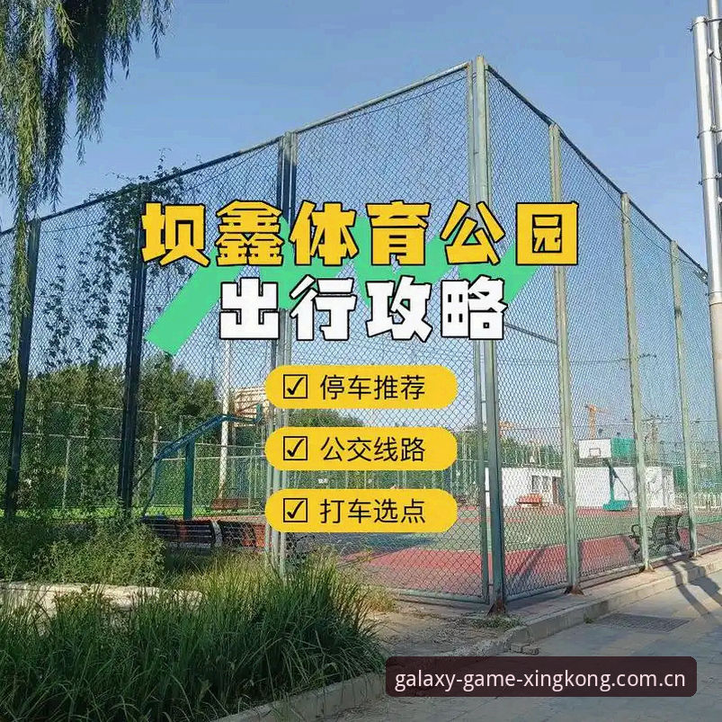 5个关键步骤掌握星空体育平台注册流程，开启高效体育娱乐新体验
